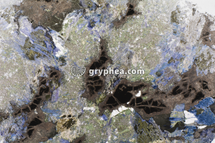 Métagabbro à Glaucophanite LPNA x3,5 - gryphea.org